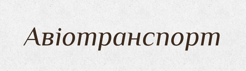 Авіотранспорт — Словник чужомовних слів і термінів