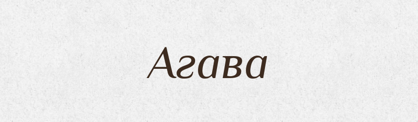 Агава — Словник чужомовних слів і термінів