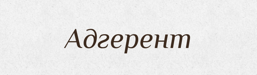 Адгерент — Словник чужомовних слів і термінів