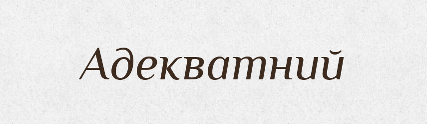 Адекватний — Словник чужомовних слів і термінів