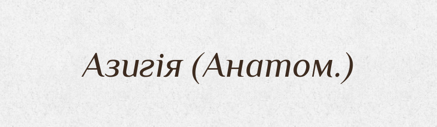 Азигія (Анатом.) — Словник чужомовних слів і термінів