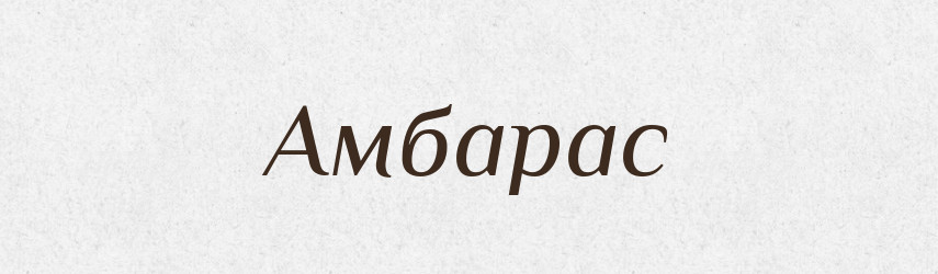 Амбарас — Словник чужомовних слів і термінів