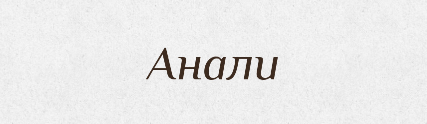 Анали — Словник чужомовних слів і термінів