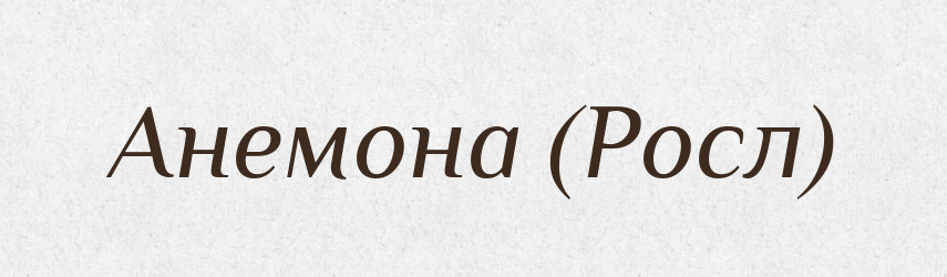 Анемона (Росл) — Словник чужомовних слів і термінів