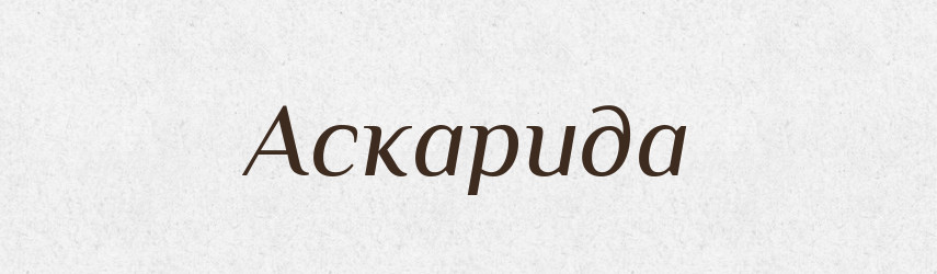 Аскарида — Словник чужомовних слів і термінів