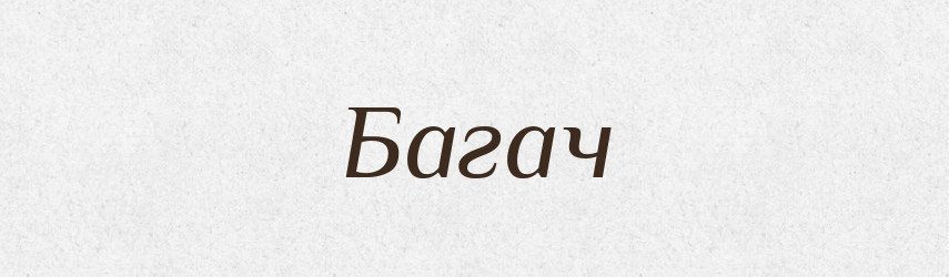 Багач — Словник чужомовних слів і термінів