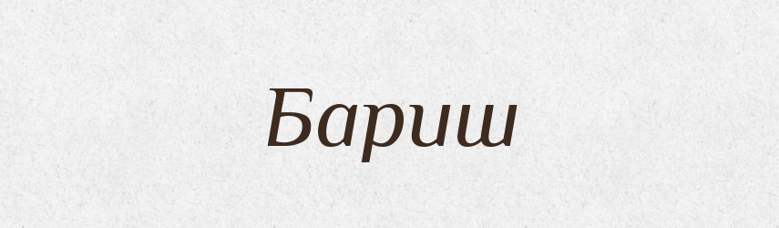 Бариш — Словник чужомовних слів і термінів
