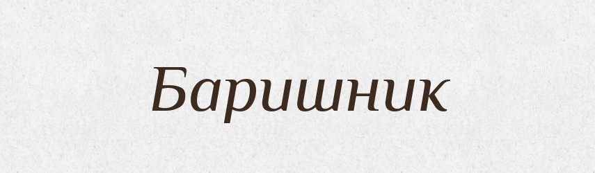 Баришник — Словник чужомовних слів і термінів
