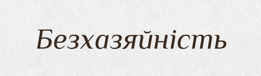 Безхазяйність — Словник чужомовних слів і термінів