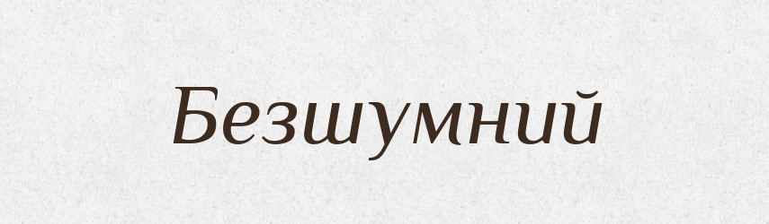 Безшумний — Словник чужомовних слів і термінів