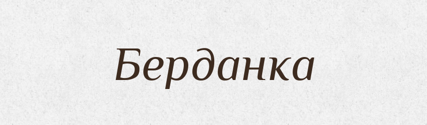 Берданка — Словник чужомовних слів і термінів