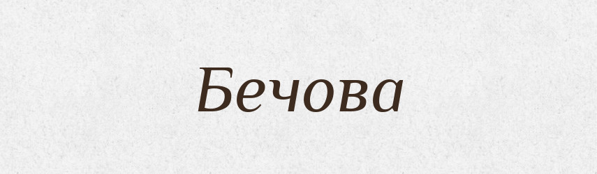 Бечова — Словник чужомовних слів і термінів
