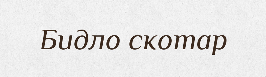 Бидло скотар — Словник чужомовних слів і термінів