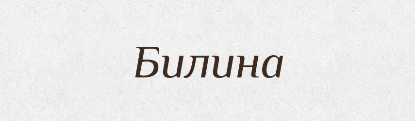 Билина — Словник чужомовних слів і термінів