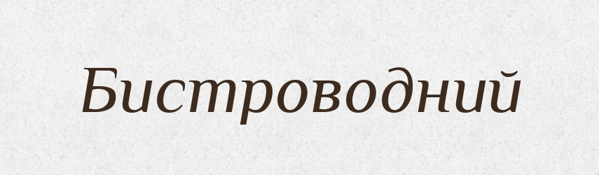 Бистроводний — Словник чужомовних слів і термінів
