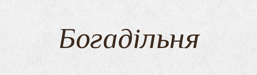 Богадільня — Словник чужомовних слів і термінів