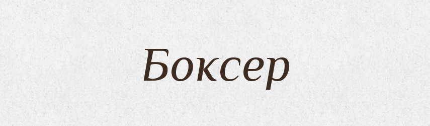 Боксер — Словник чужомовних слів і термінів