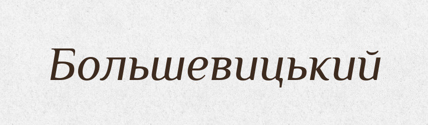 Большевицький — Словник чужомовних слів і термінів