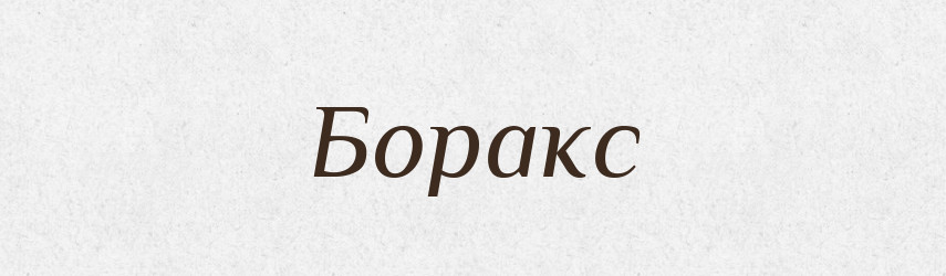 Боракс — Словник чужомовних слів і термінів