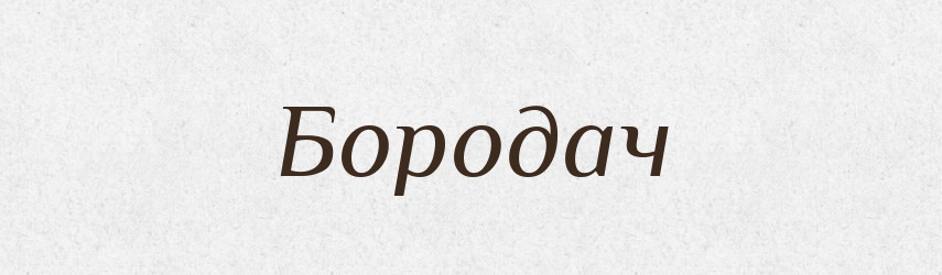 Бородач — Словник чужомовних слів і термінів