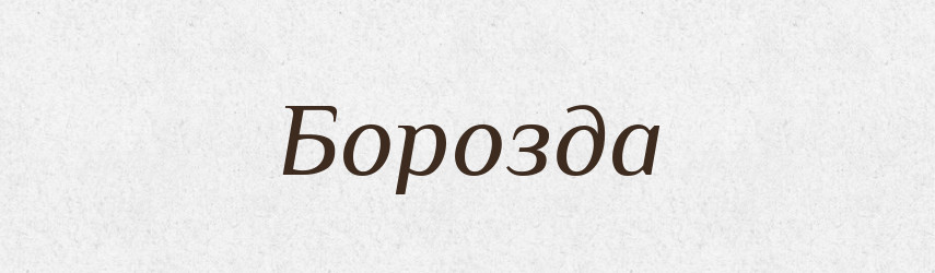 Борозда — Словник чужомовних слів і термінів