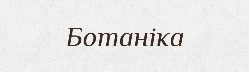 Ботаніка — Словник чужомовних слів і термінів