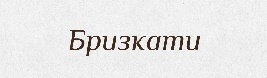 Бризкати — Словник чужомовних слів і термінів