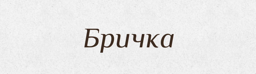Бричка — Словник чужомовних слів і термінів