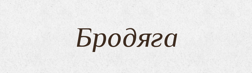 Бродяга — Словник чужомовних слів і термінів