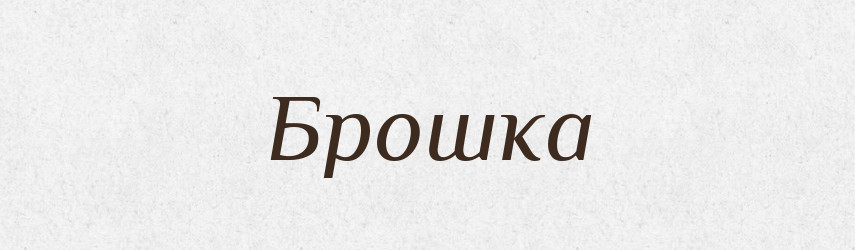 Брошка — Словник чужомовних слів і термінів