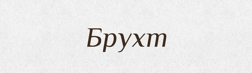 Брухт — Словник чужомовних слів і термінів