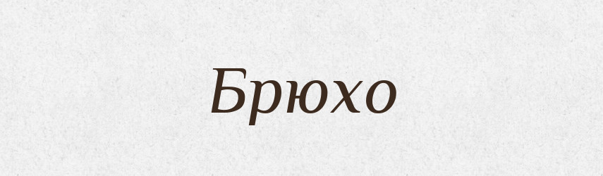 Брюхо — Словник чужомовних слів і термінів