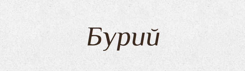 Бурий — Словник чужомовних слів і термінів