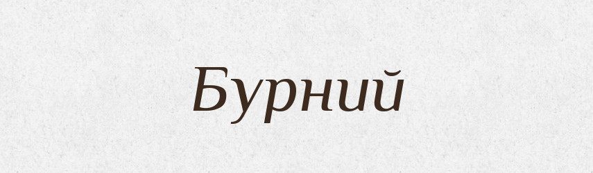 Бурний — Словник чужомовних слів і термінів
