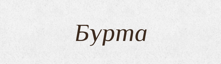 Бурта — Словник чужомовних слів і термінів