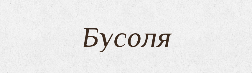 Бусоля — Словник чужомовних слів і термінів