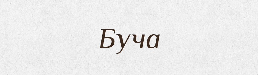Буча — Словник чужомовних слів і термінів