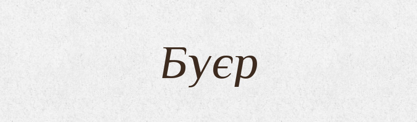 Буєр — Словник чужомовних слів і термінів