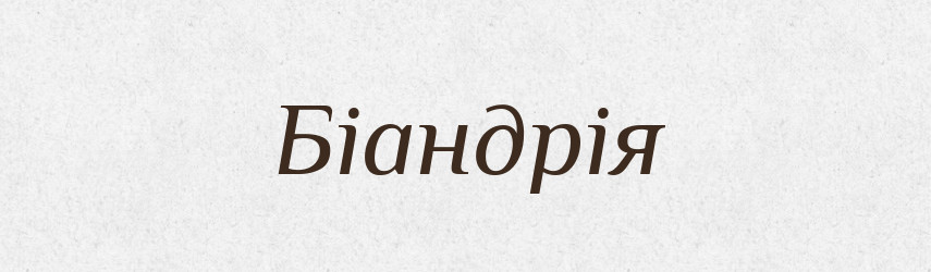 Біандрія — Словник чужомовних слів і термінів