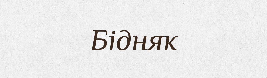 Бідняк — Словник чужомовних слів і термінів