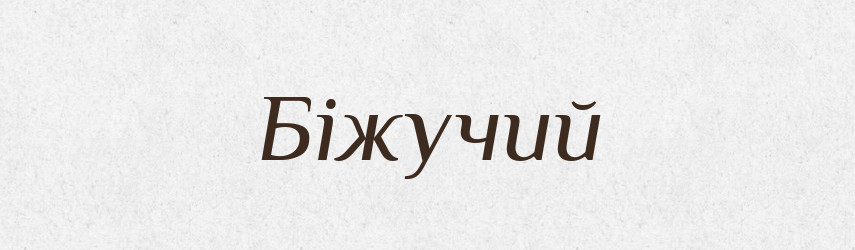 Біжучий — Словник чужомовних слів і термінів
