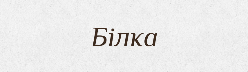 Білка — Словник чужомовних слів і термінів