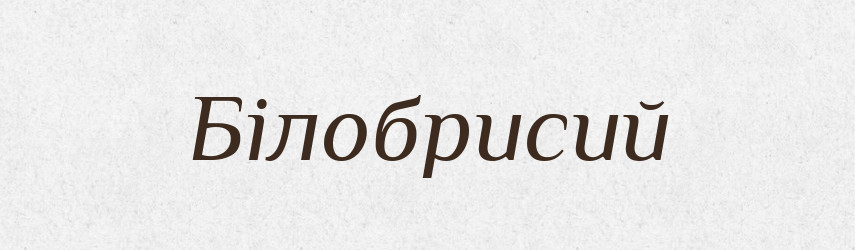 Білобрисий — Словник чужомовних слів і термінів