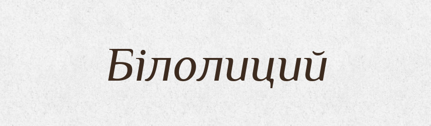 Білолиций — Словник чужомовних слів і термінів