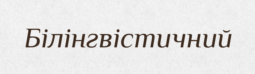 Білінгвістичний — Словник чужомовних слів і термінів