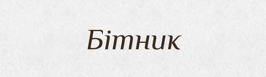 Бітник — Словник чужомовних слів і термінів