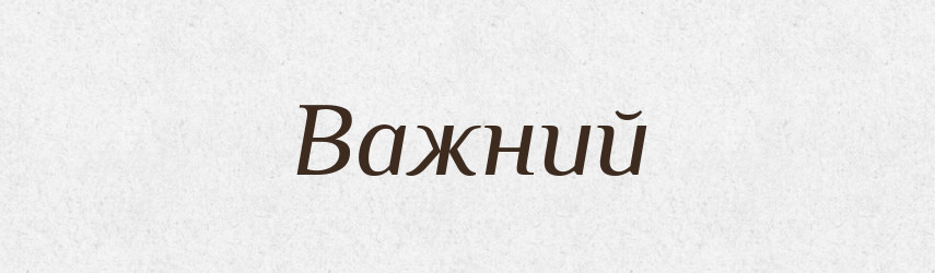 Важний — Словник чужомовних слів і термінів