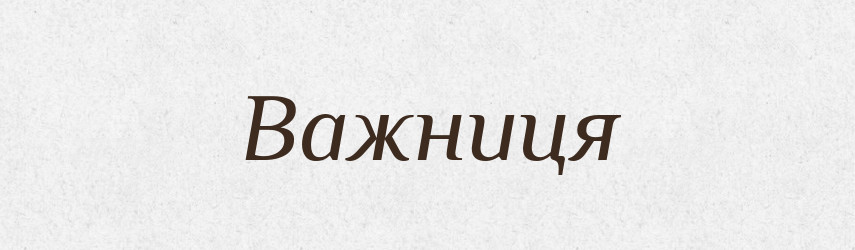 Важниця — Словник чужомовних слів і термінів