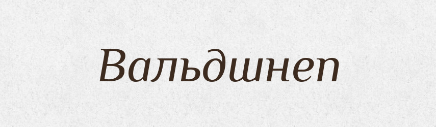 Вальдшнеп — Словник чужомовних слів і термінів