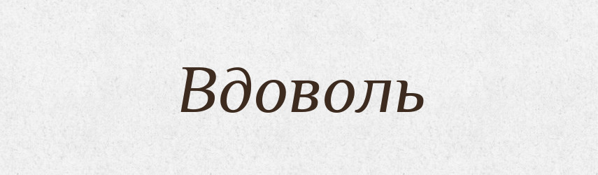 Вдоволь — Словник чужомовних слів і термінів